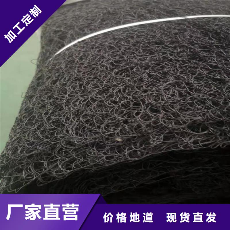 通風降噪絲網雙向塑料土工格柵實地大廠
