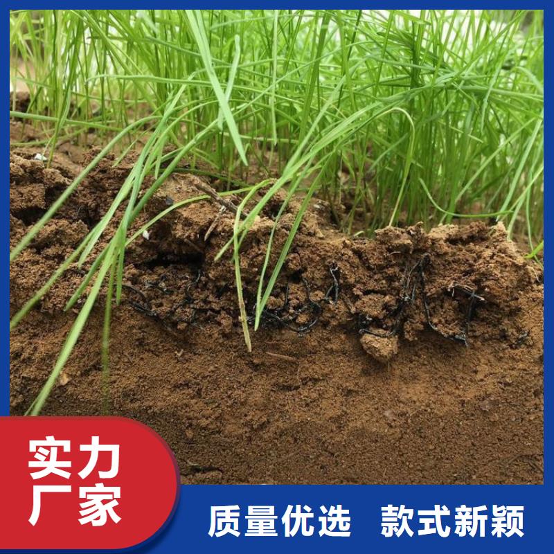 【水土保護(hù)毯】三維植被網(wǎng)嚴(yán)格把關(guān)質(zhì)量放心