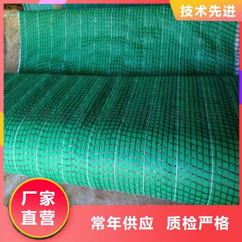 梅州周边椰丝毯双向土工格栅细节展示