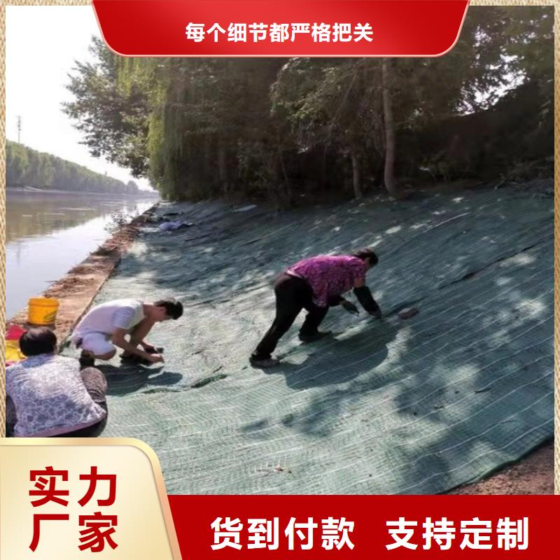 【椰絲毯】土工格柵出廠價