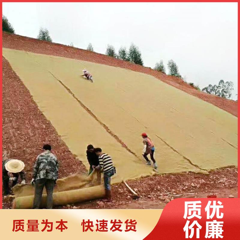 椰丝毯HDPE复合排水板经验丰富质量放心