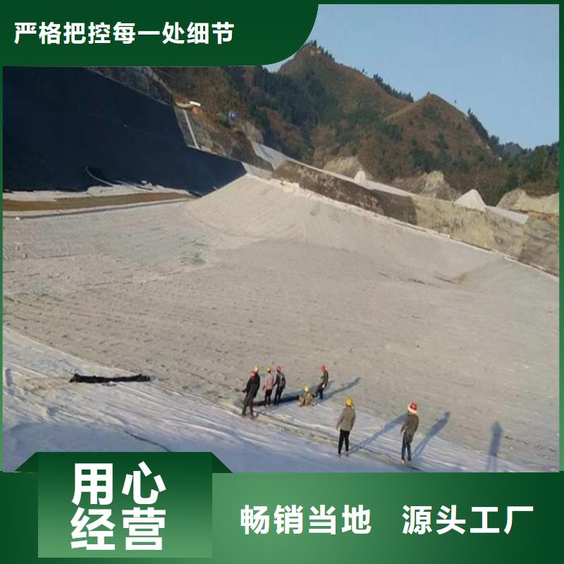 膨潤土防水毯土工格柵規格型號全