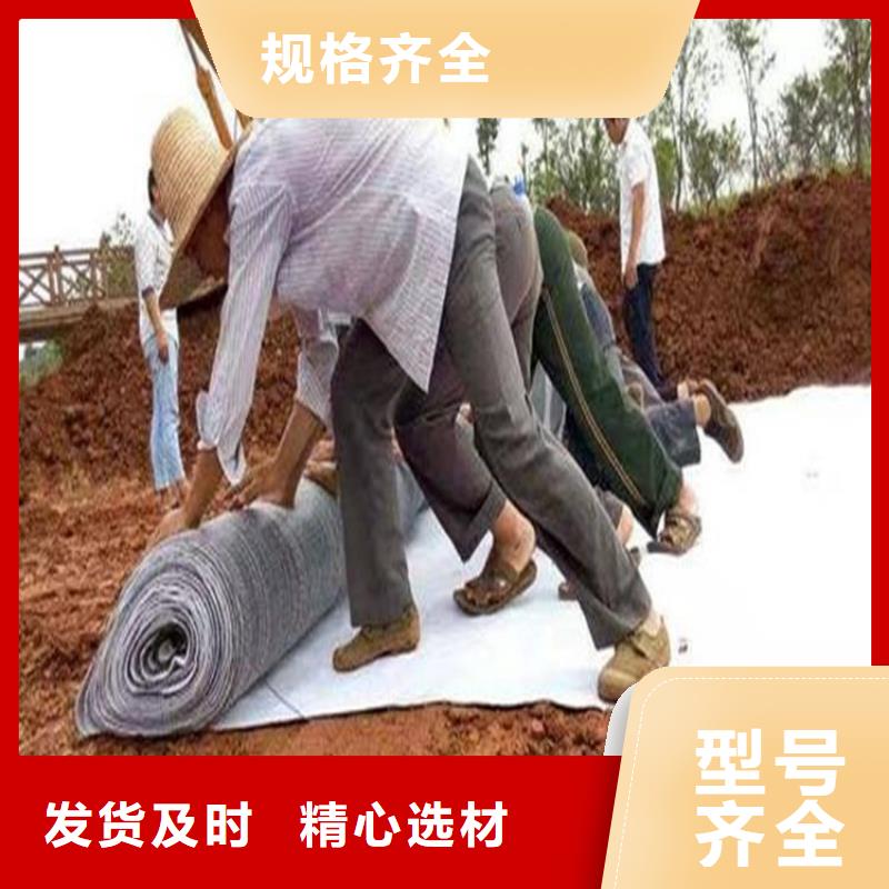 膨潤土防水毯【土工格柵】多年實力廠家