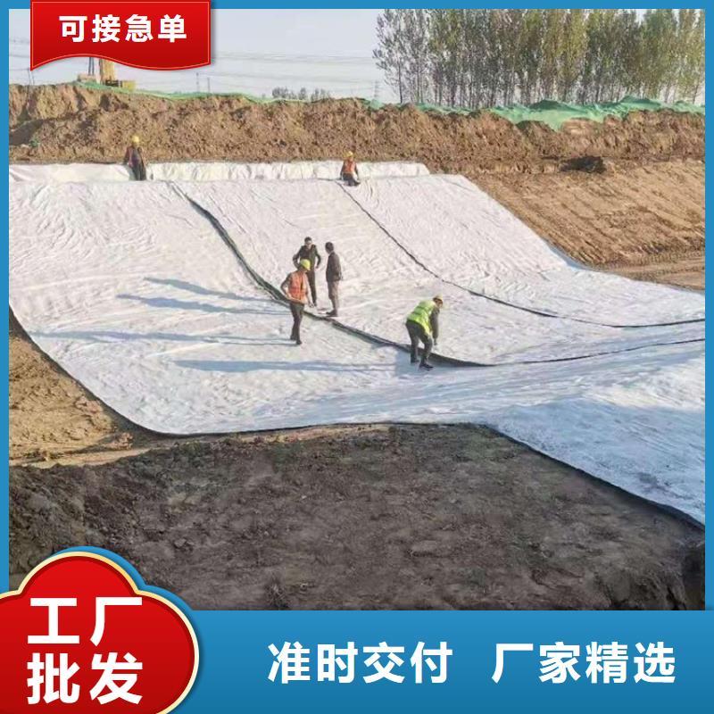 膨潤(rùn)土防水毯土工布批發(fā)價(jià)格