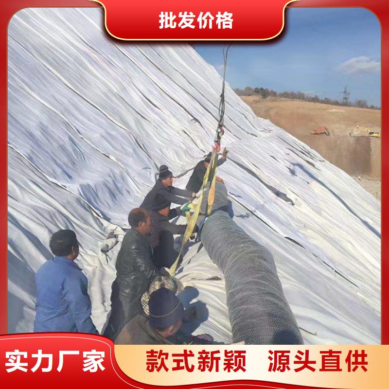 膨潤土防水毯【土工格柵】多年實力廠家