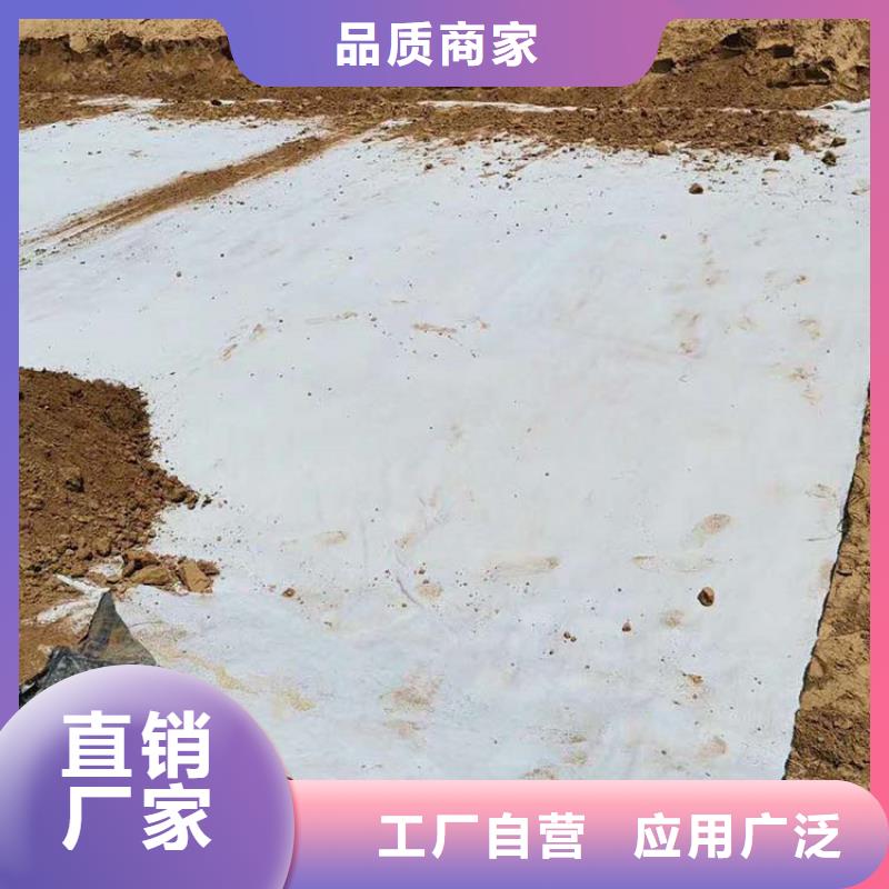 【膨潤土防水毯】鋼塑土工格柵經銷商