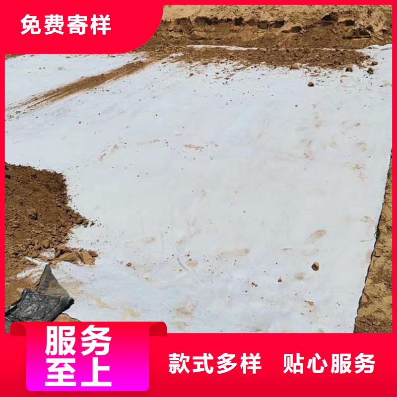 膨潤土防水毯短纖無紡土工布顏色尺寸款式定制