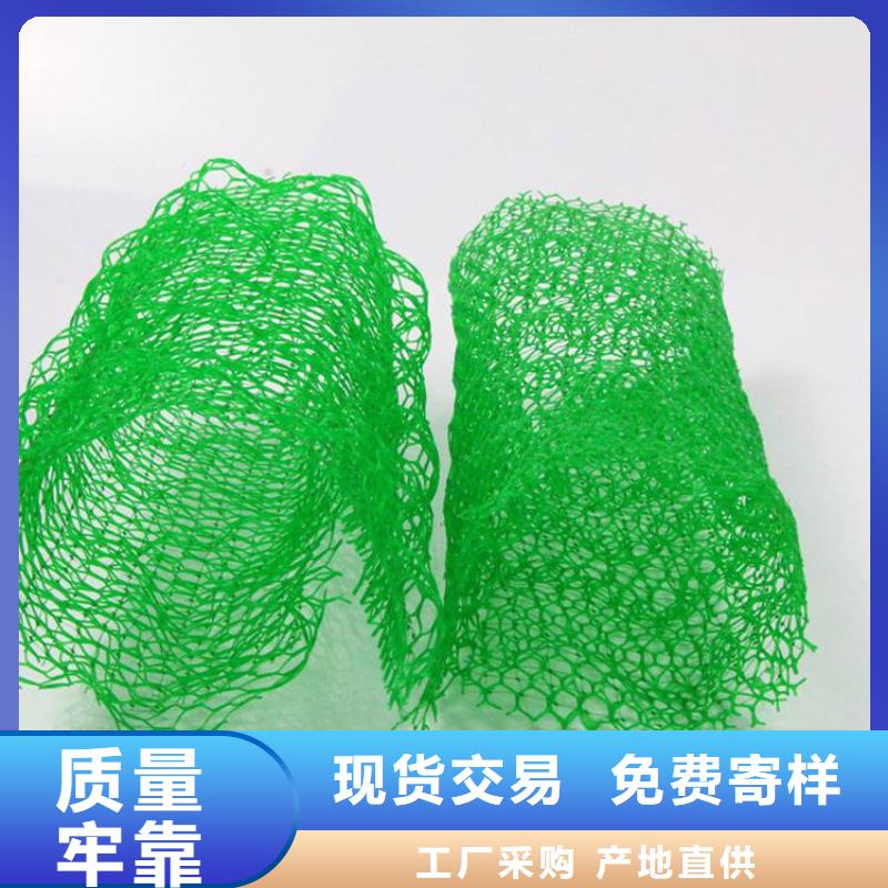 三維植被網(wǎng)_波紋管誠信商家服務熱情