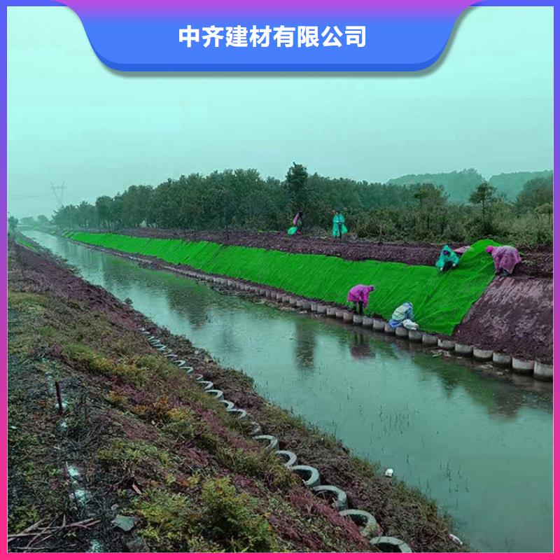 三維植被網源廠供貨
