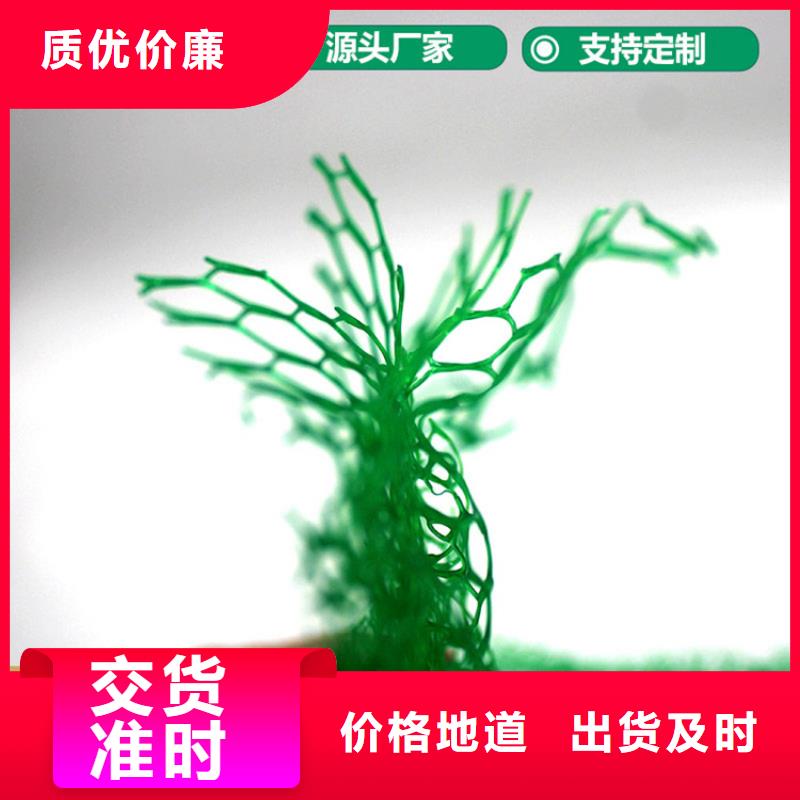 三維植被網防水板貨源直供