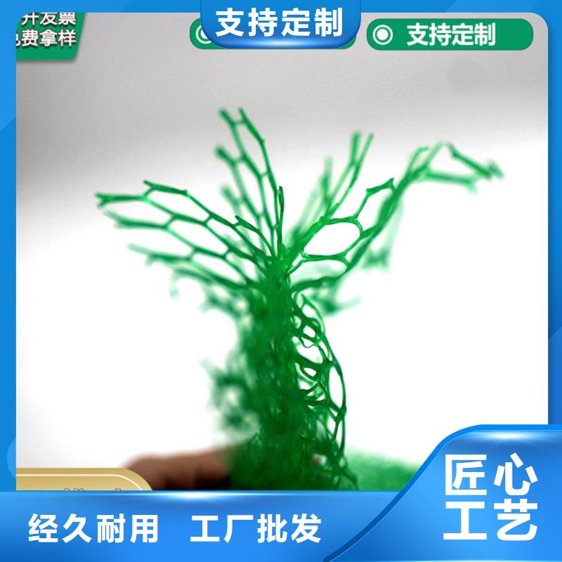 三维植被网【土工格室】随到随提