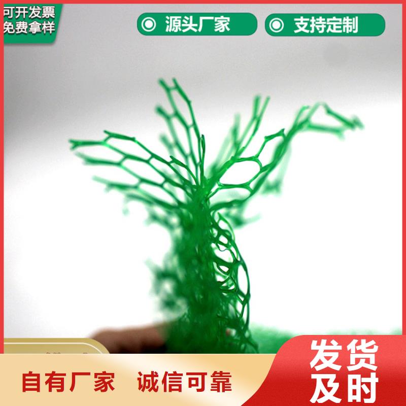 三維植被網(wǎng)防水板貨源直供