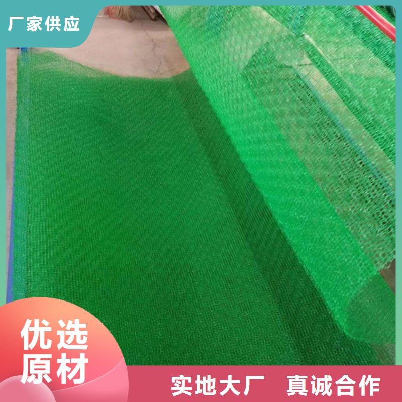 三維植被網防水板全新升級品質保障