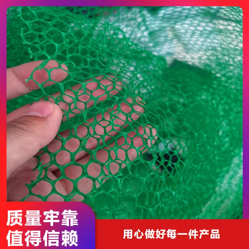 【三維植被網】透水管生產廠家