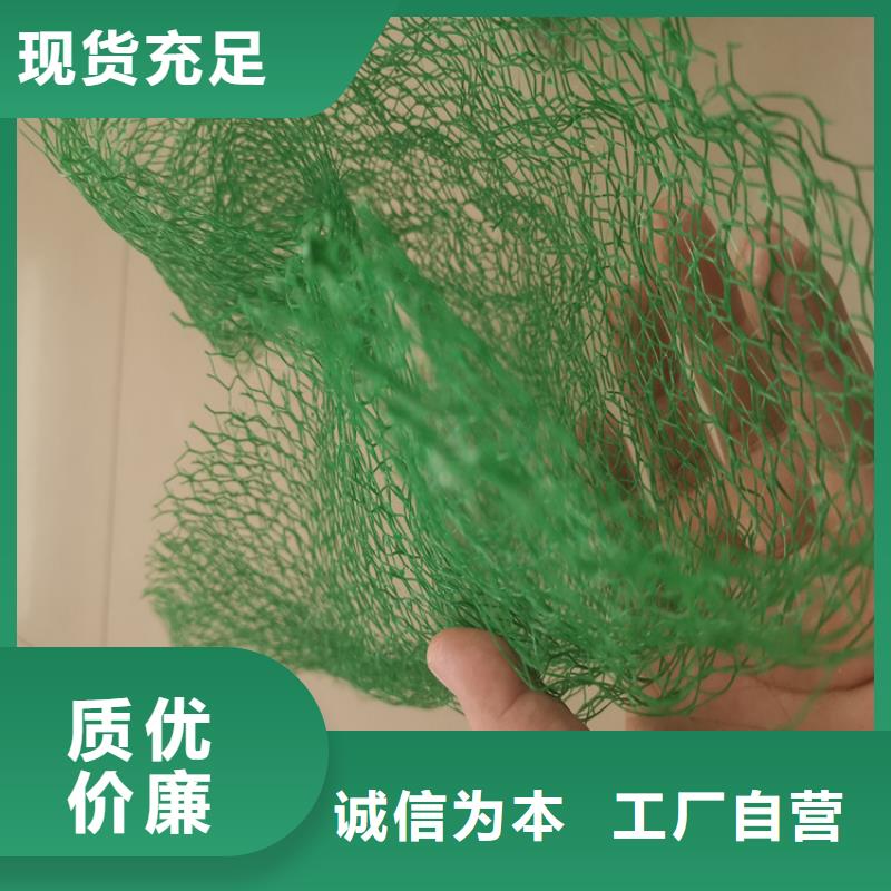 三維植被網防水板現貨直發(fā)