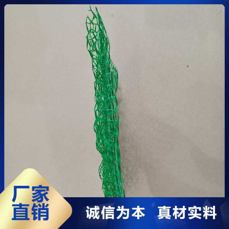 三維植被網透水管實時報價