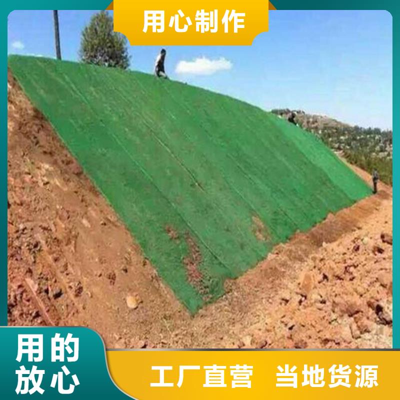 三维植被网【矿用格栅】厂家货源稳定