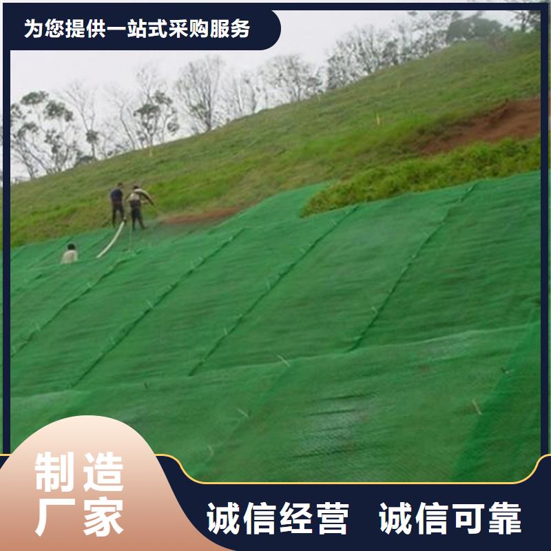 三维植被网【矿用格栅】厂家货源稳定