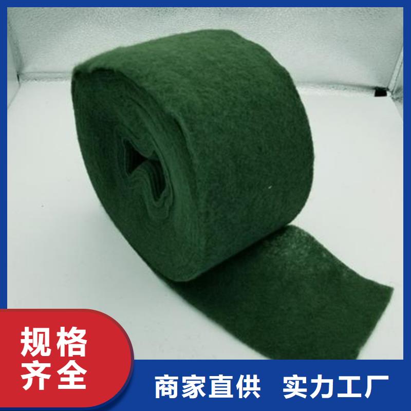 【裹树布_土工膜主推产品】