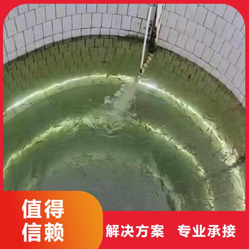 水下施工【水下安裝】講究信譽