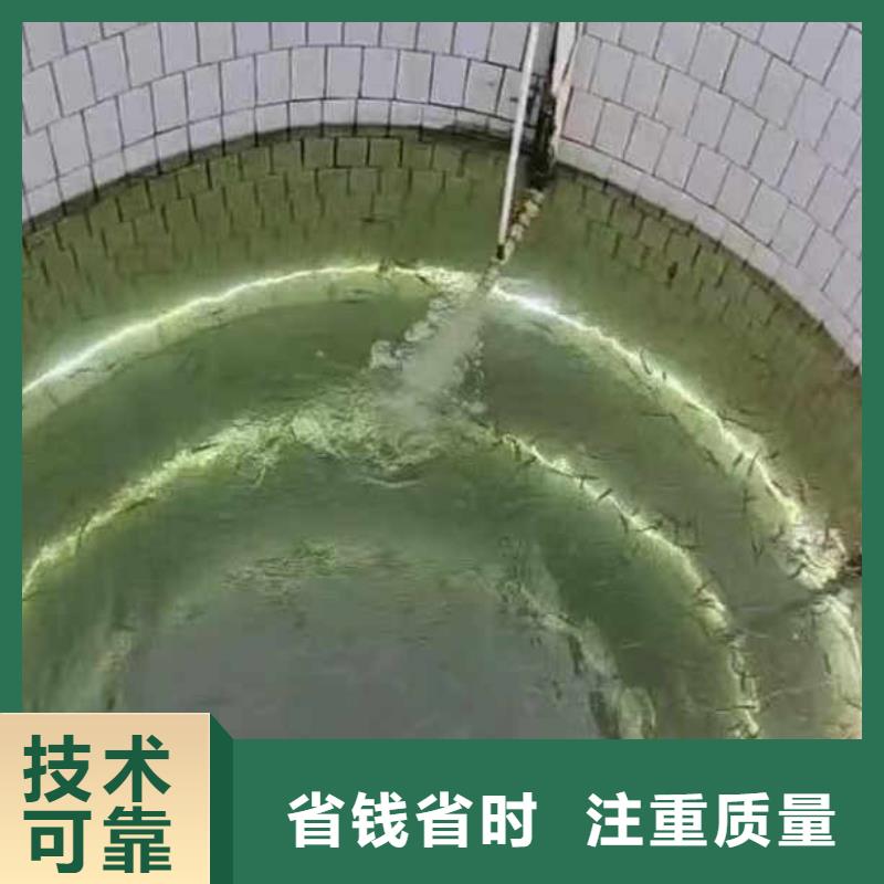 生化池曝氣管道潛水維修一最新實力雄厚一潛水員服務