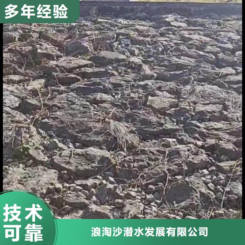 水下施工本地潜水救援齐全