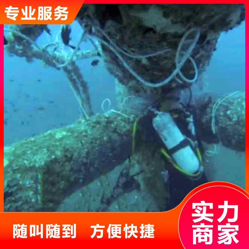 潛水員水下施工公司一當地水下拍照