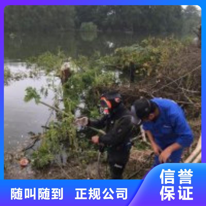 潛水員,本地潛水搜索團隊正規