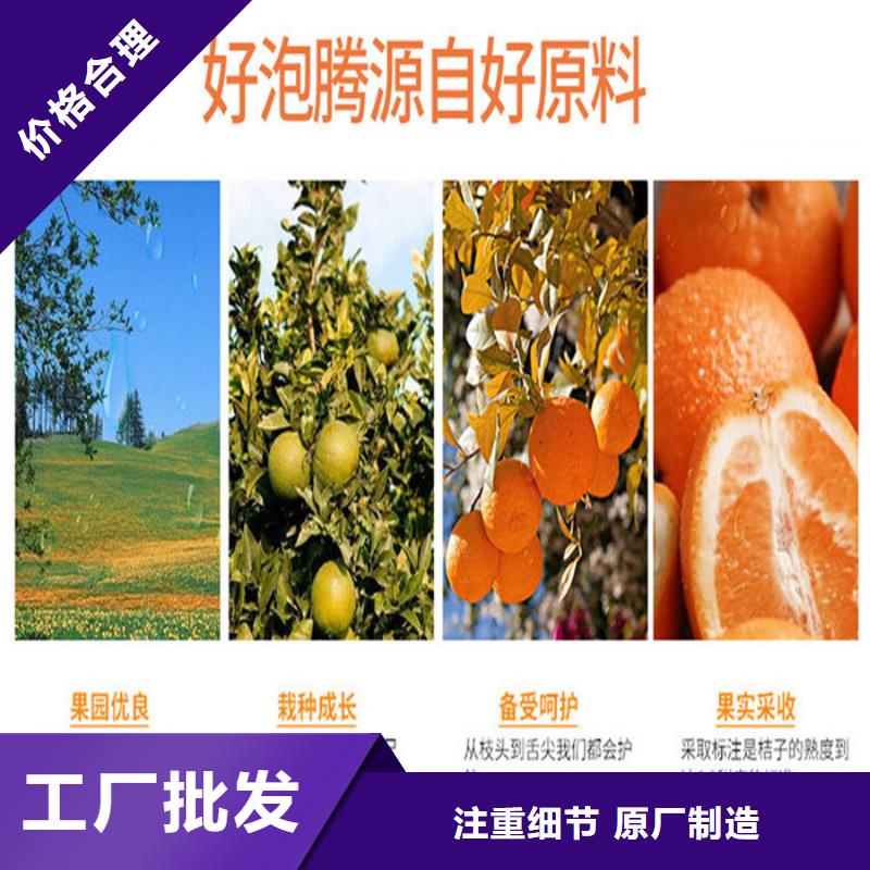 【 代加工胶囊品质值得信赖】当地公司