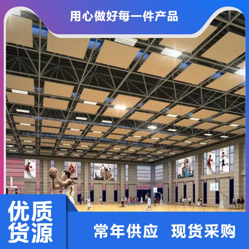 县羽毛球馆体育馆声学改造公司--2025最近方案/价格