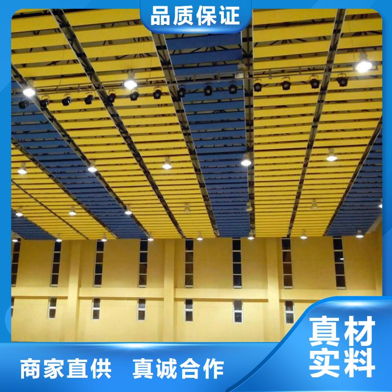 安吉县集团公司体育馆吸音改造公司--2024最近方案/价格
