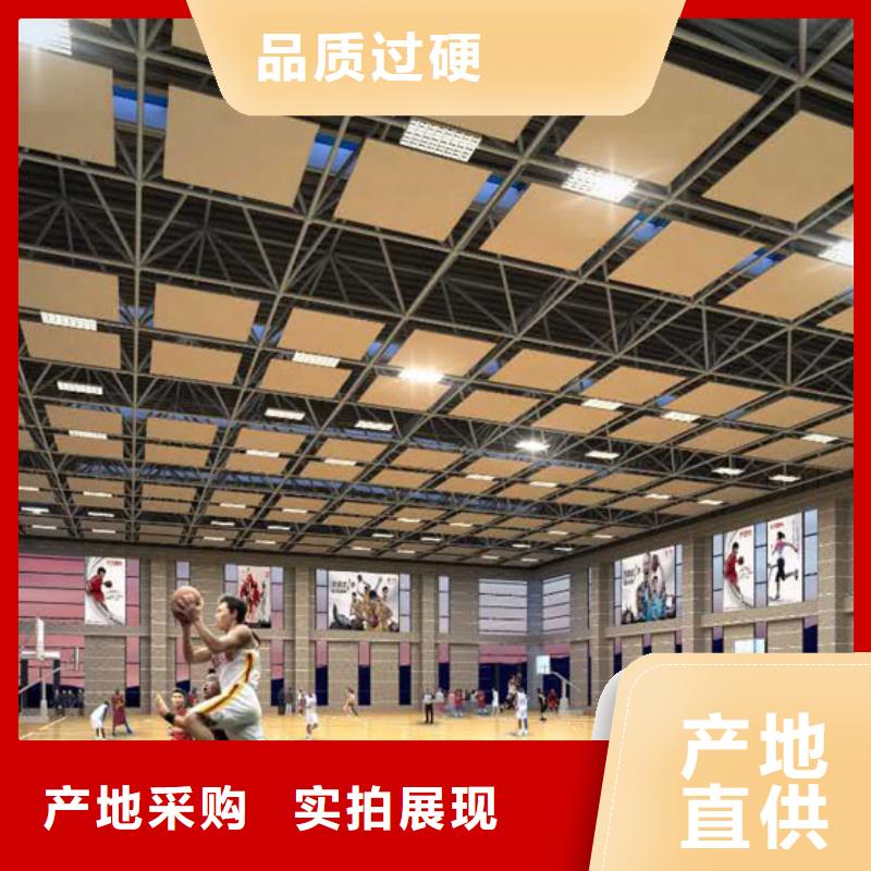 镇平县大型体育馆声学改造公司--2024最近方案/价格