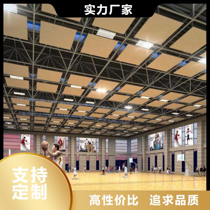 枝江市大型体育馆声学改造方案--2024最近方案/价格