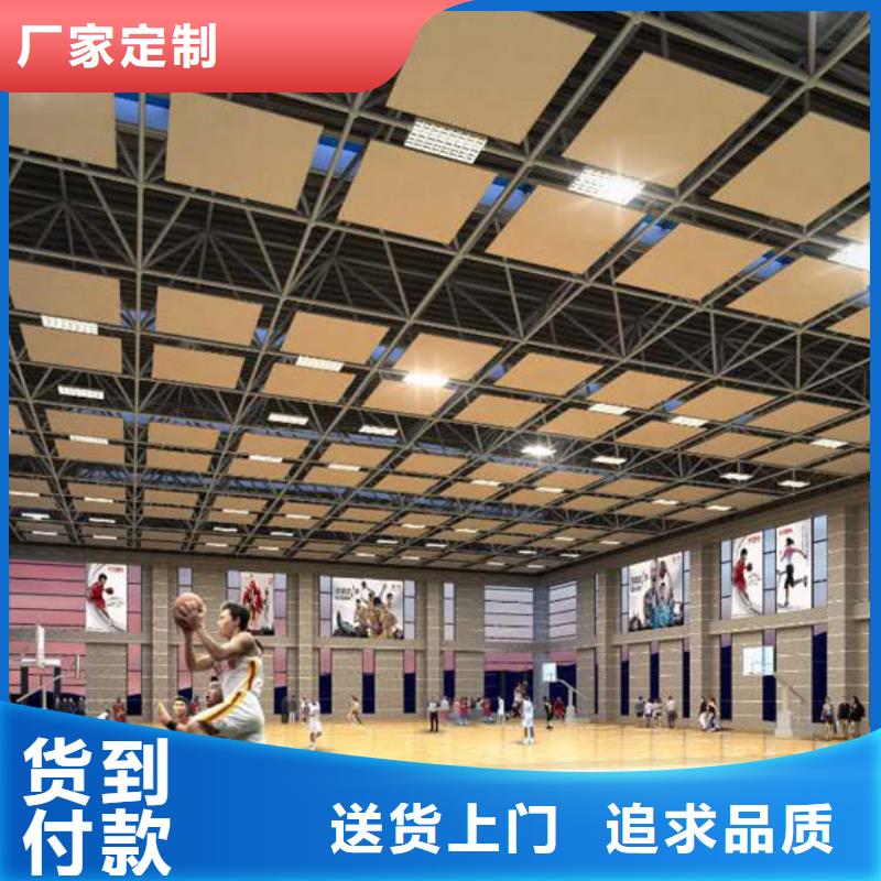 泊头市体育馆声学设计改造公司价格--2024最近方案/价格