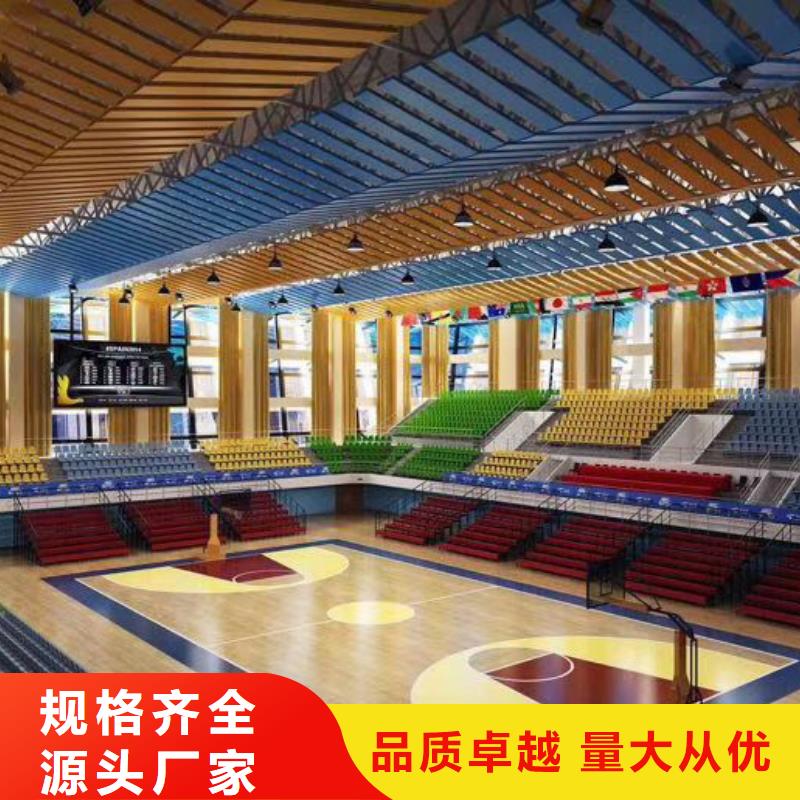 枝江市大型体育馆声学改造方案--2024最近方案/价格