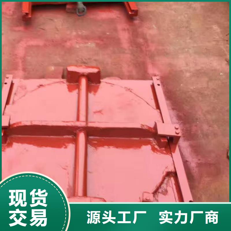 污水处理明杆式闸门多种规格