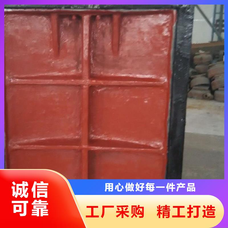 污水处理明杆式闸门多种规格