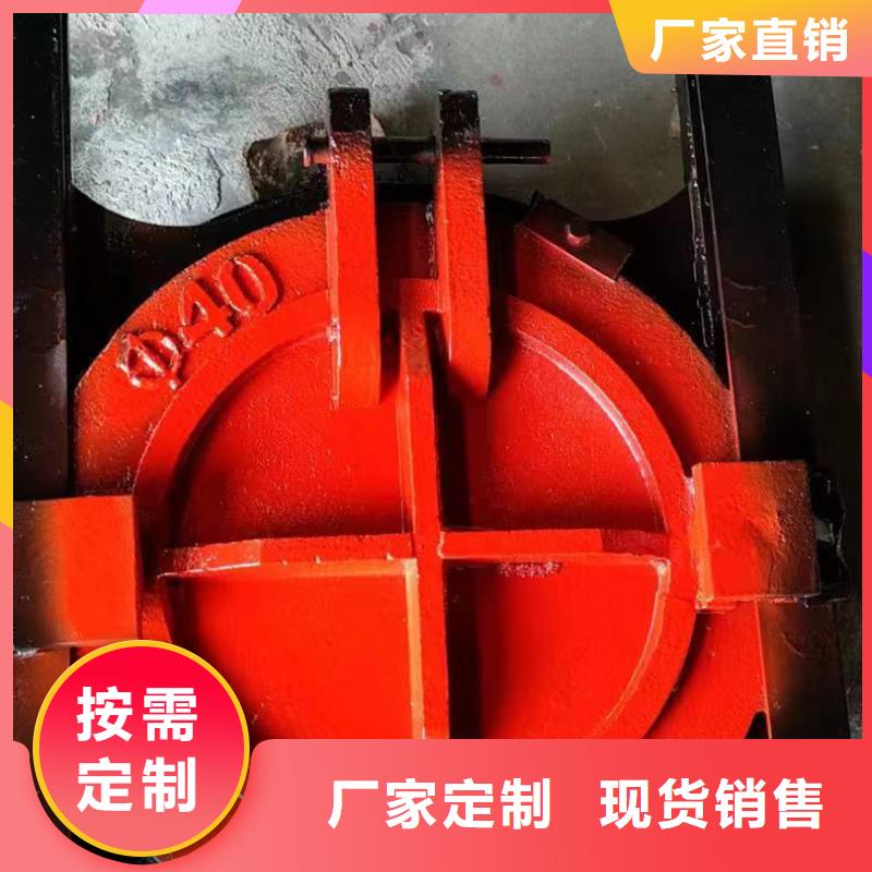 ZMF铸铁镶铜闸门网上销售保障