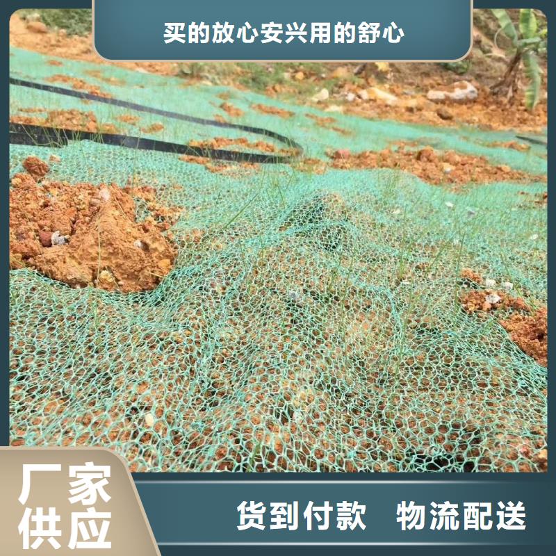 【三维植被网】硬式透水管市场报价