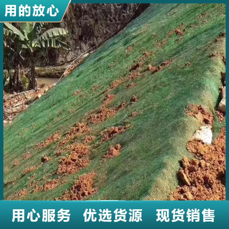 三維植被網_滲排水網墊廠家銷售