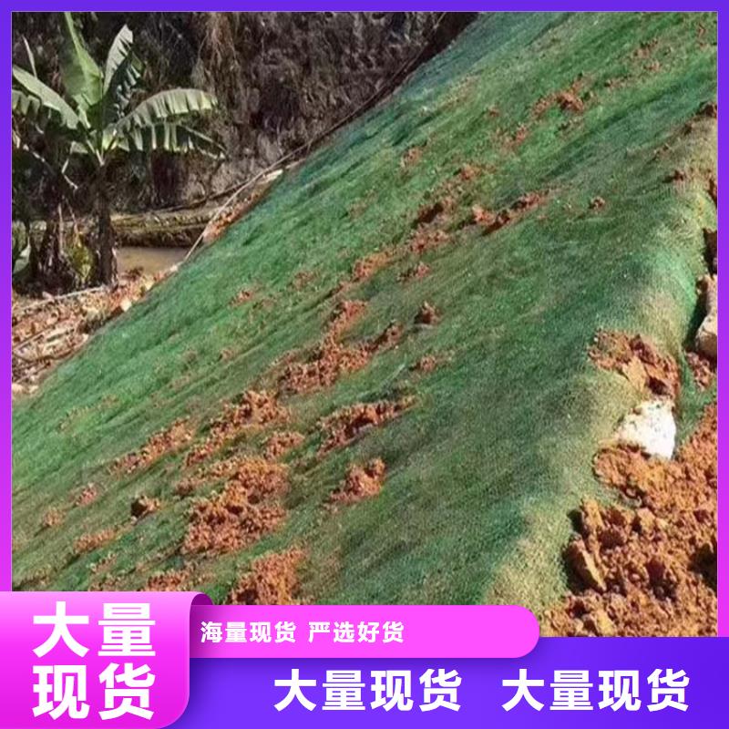 三維植被網(wǎng)【銅止水】誠信廠家