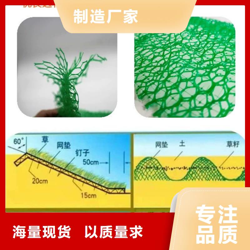 三维排水网、三维排水网生产厂家-诚信经营