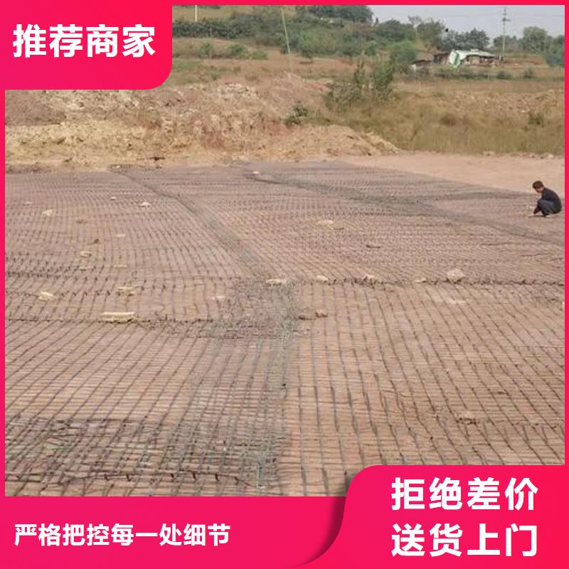 塑料土工格柵參數質量可靠