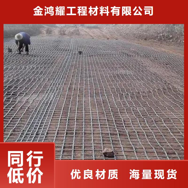 規(guī)格齊全的土工格柵型號規(guī)格廠家