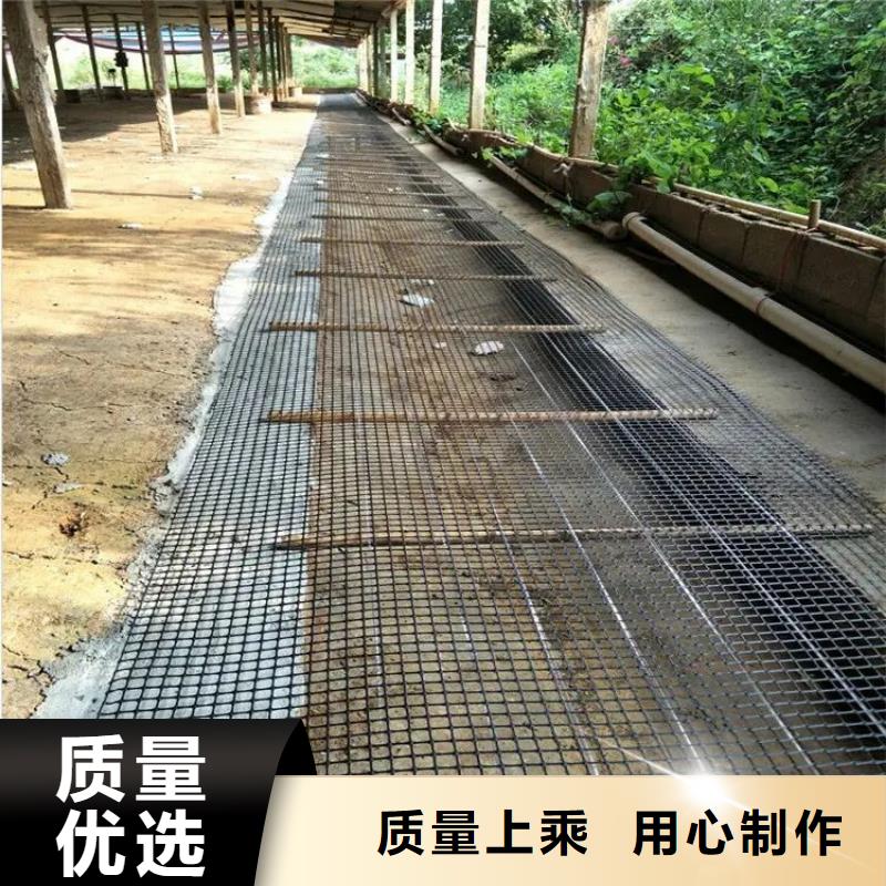 塑鋼土工格柵廠家廠家直銷廠家