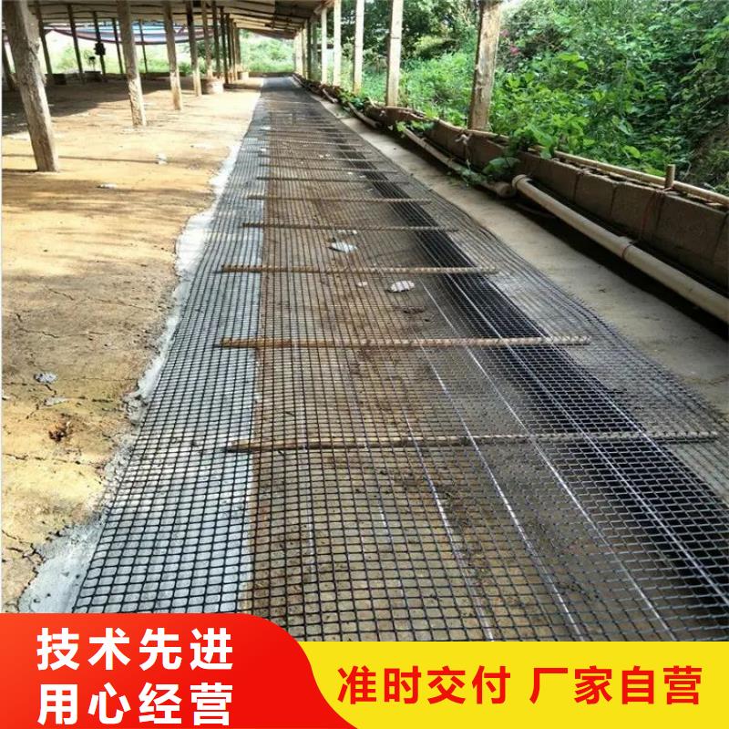 土工格柵團隊廠家