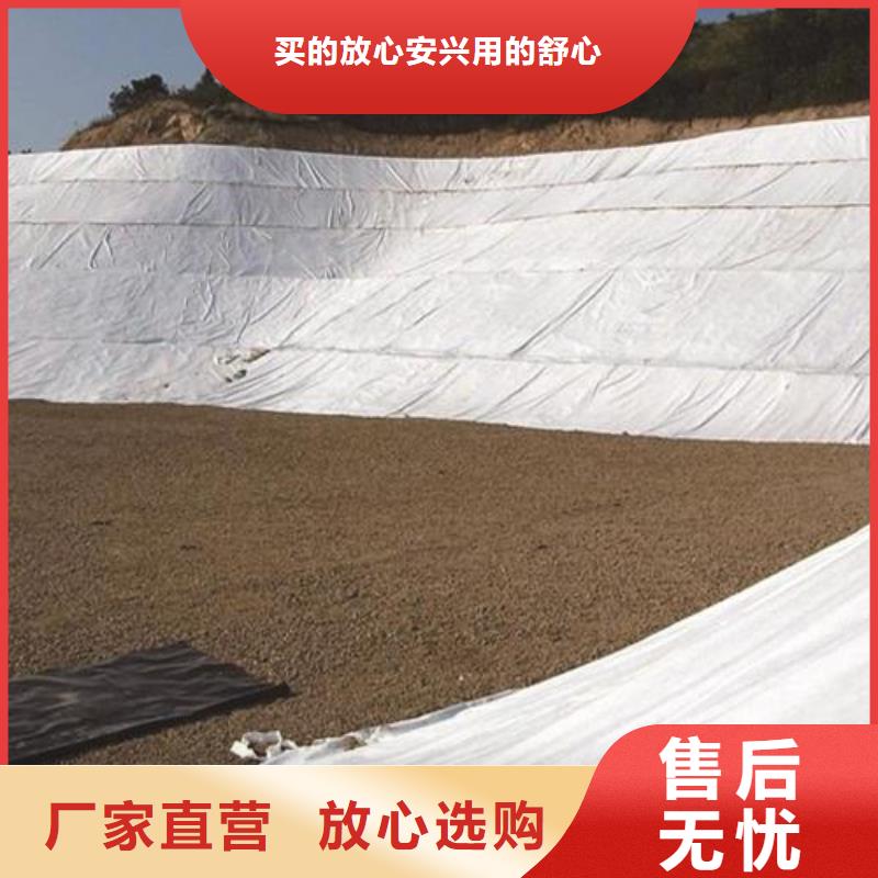 土工布,紫銅止水片廠家敢與同行比價格