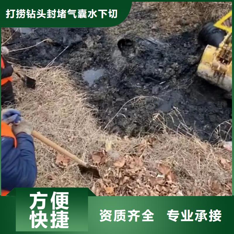 水下維修,水下探摸工程省錢省時