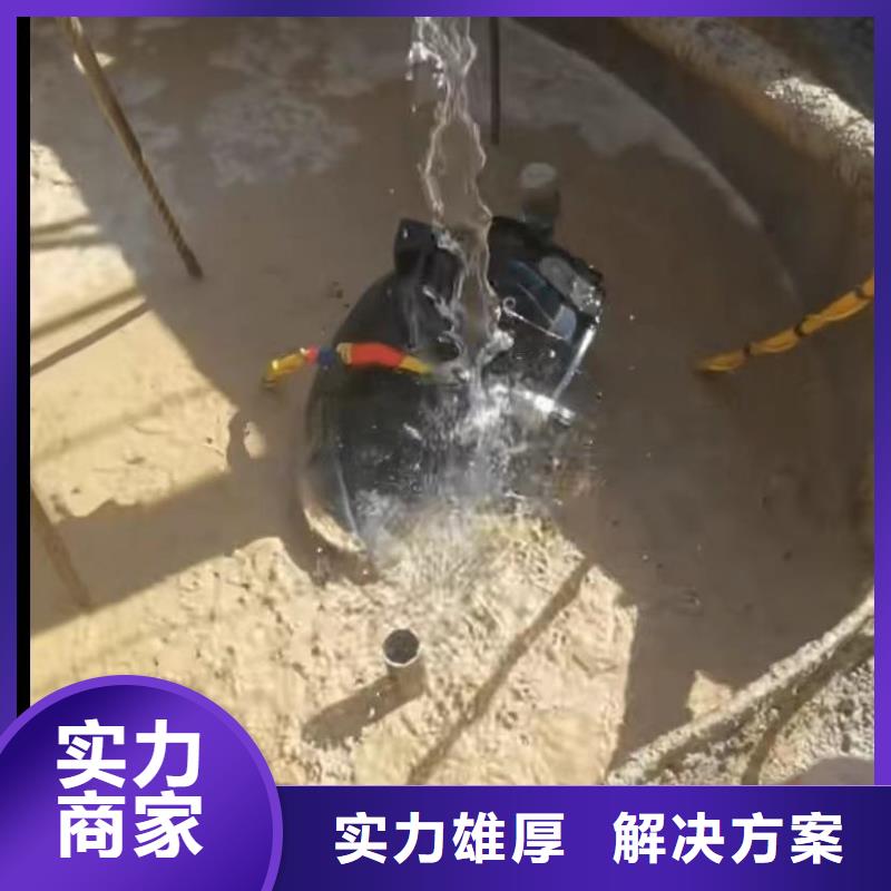 水下閘門清理廠家供應