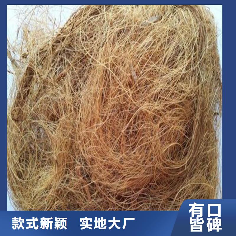 植物生態(tài)防護(hù)毯-植物纖維毯在線咨詢(xún)